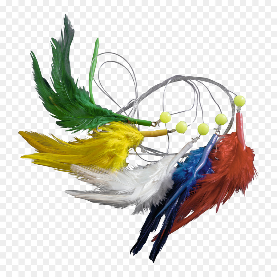 Oiseau，Plume PNG