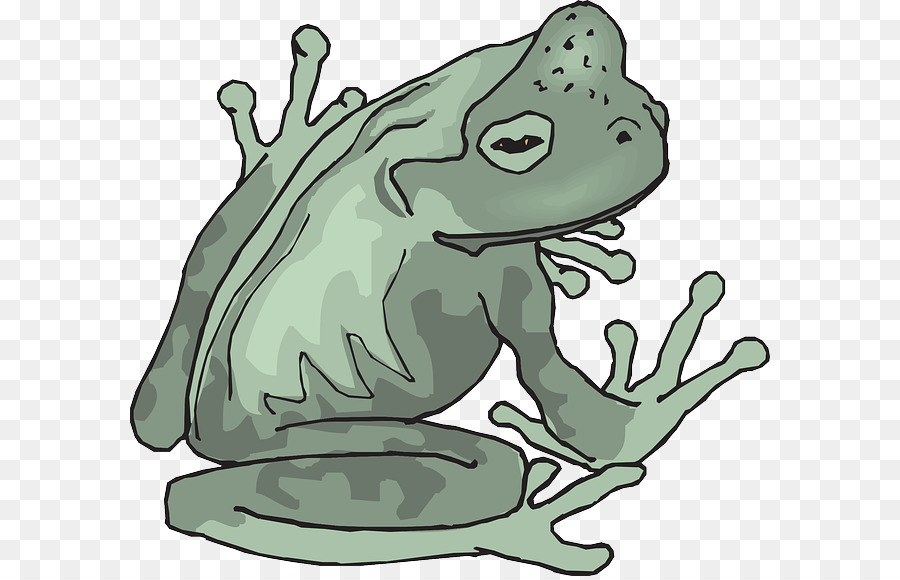 Grenouille Verte，Amphibie PNG