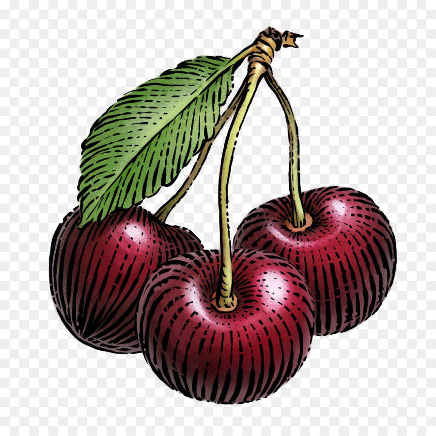 Cerises，Rouge PNG