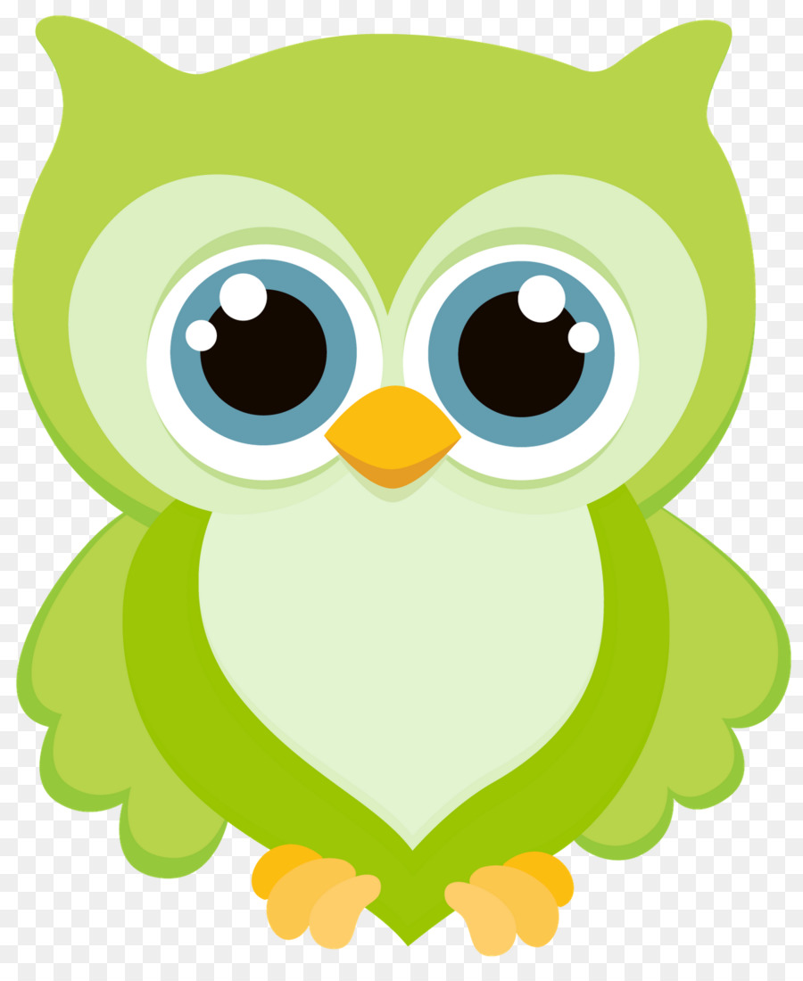 Chouette De Dessin Animé，Hibou PNG