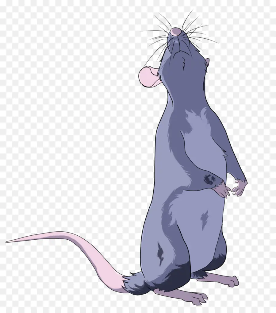 Rat De Dessin Animé，Debout PNG