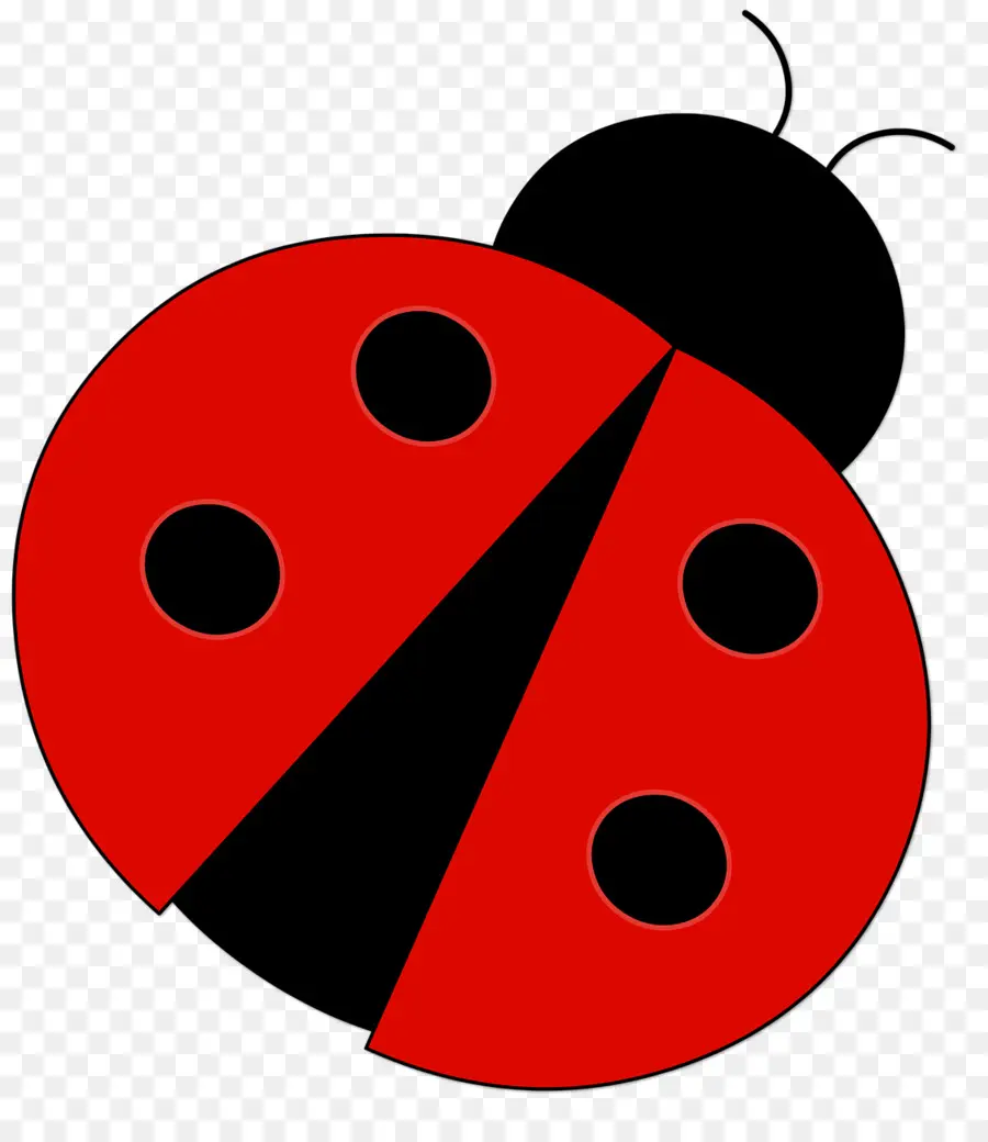 Coccinelle，Rouge PNG