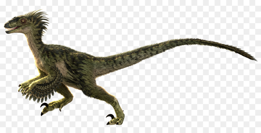 Dinosaure，Reptile PNG