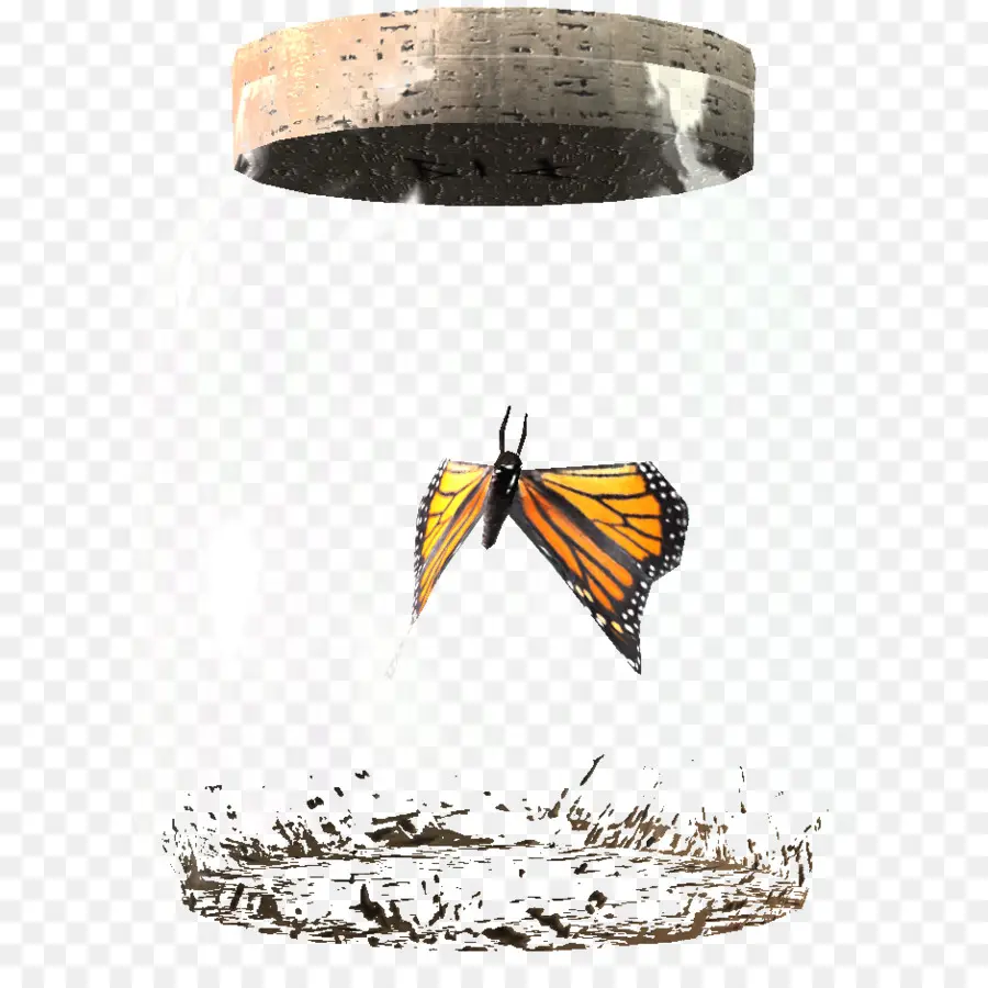 Papillon En Pot，Monarque PNG