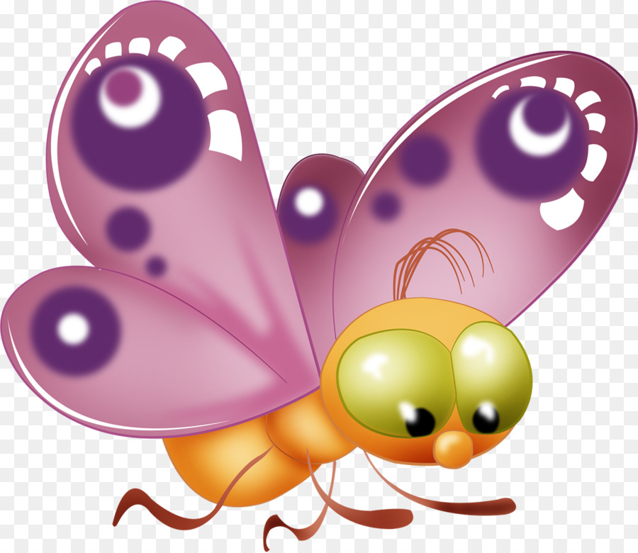 Papillon，Papillon Net PNG