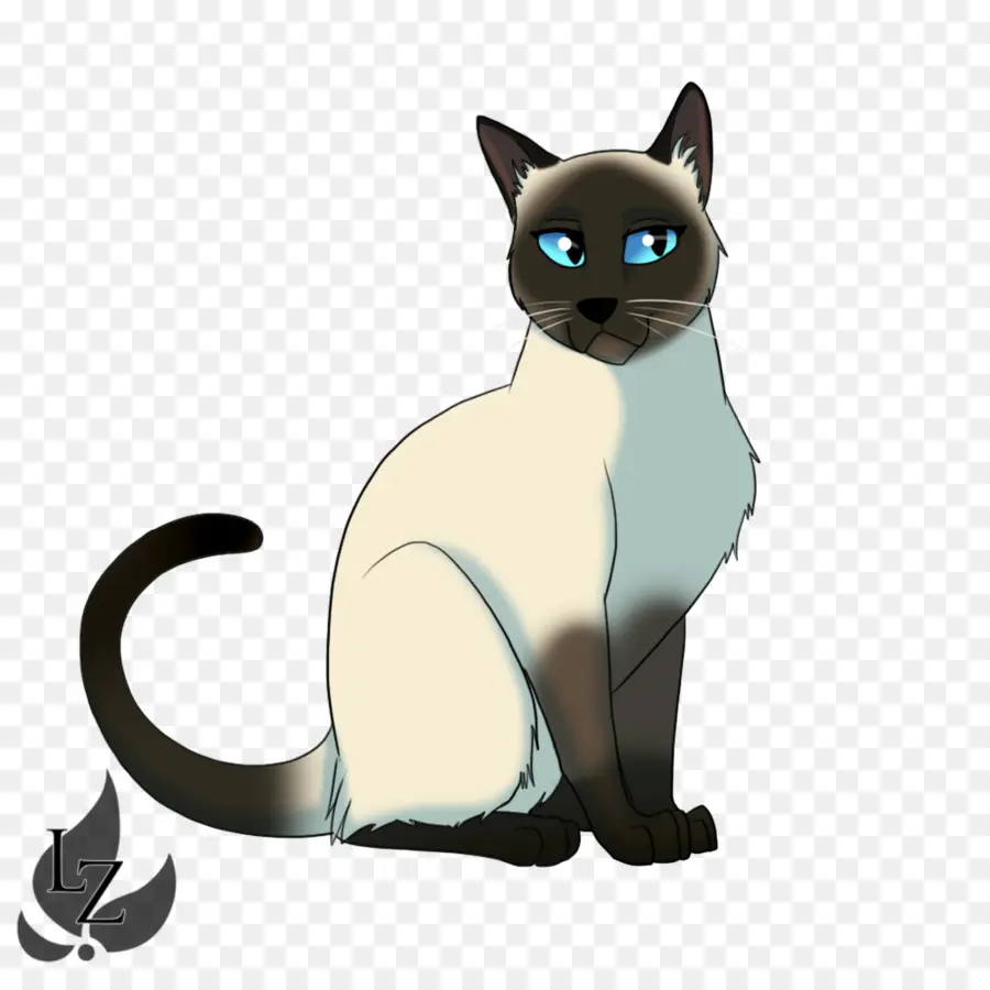 Chat Siamois，Dessin Animé PNG