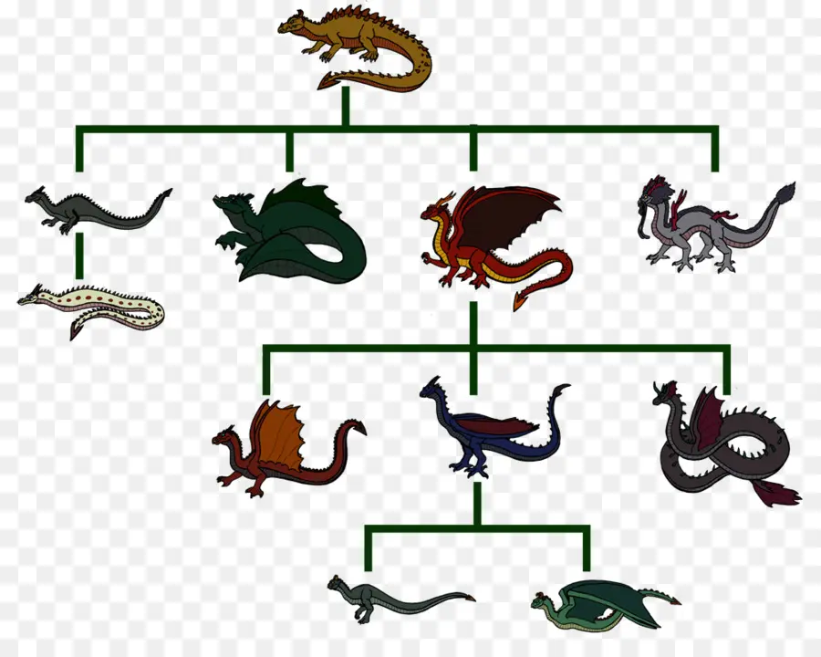 Arbre Généalogique Des Dragons，Dragon PNG