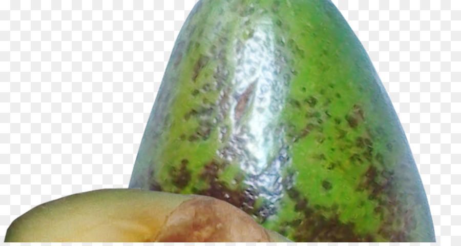 Fruits，L Avocat PNG