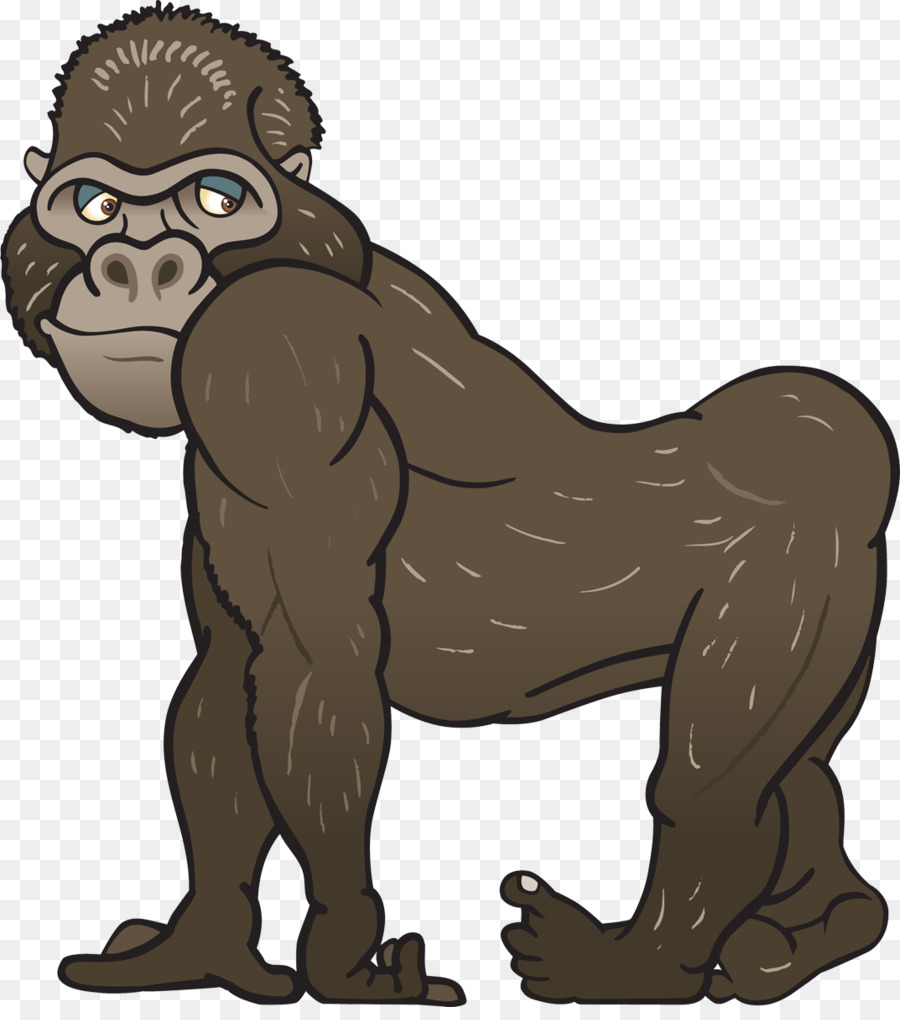 Gorille，Singe PNG