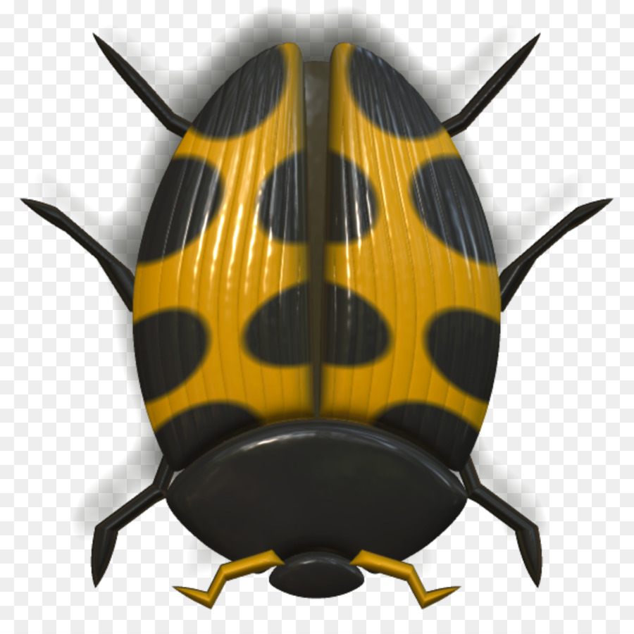 Insecte，Bogue PNG