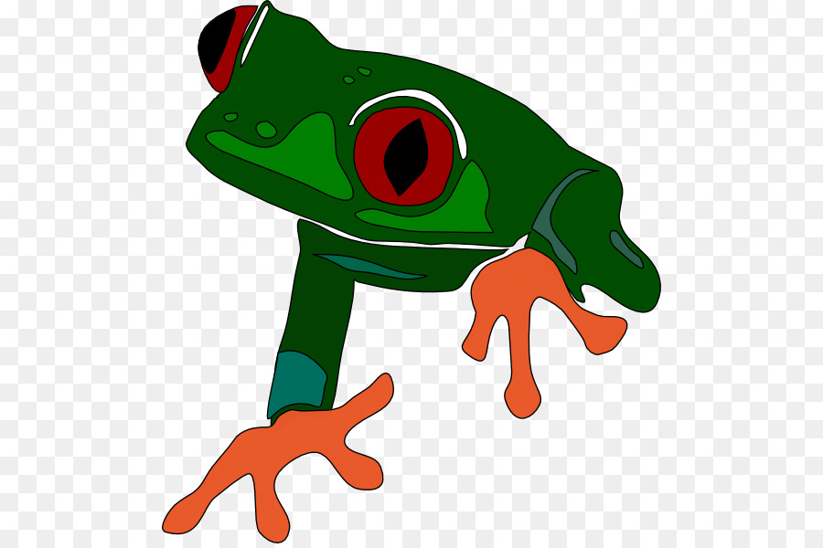 Grenouille，Rainette PNG