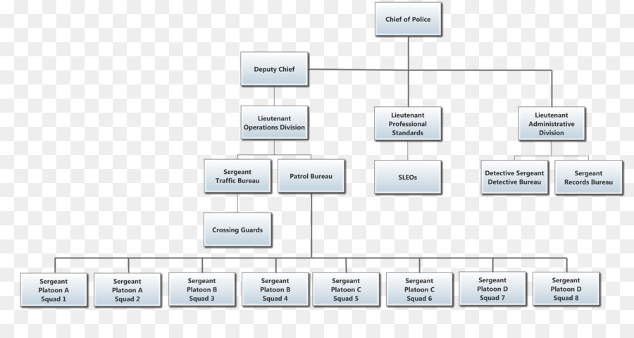 Organigramme，Structure PNG