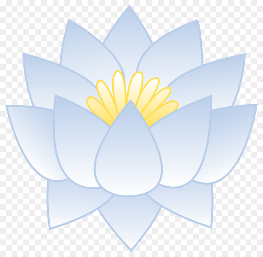 Fleur De Lotus，Floraison PNG