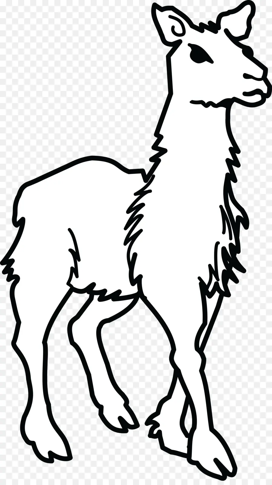 Lama，Contour PNG