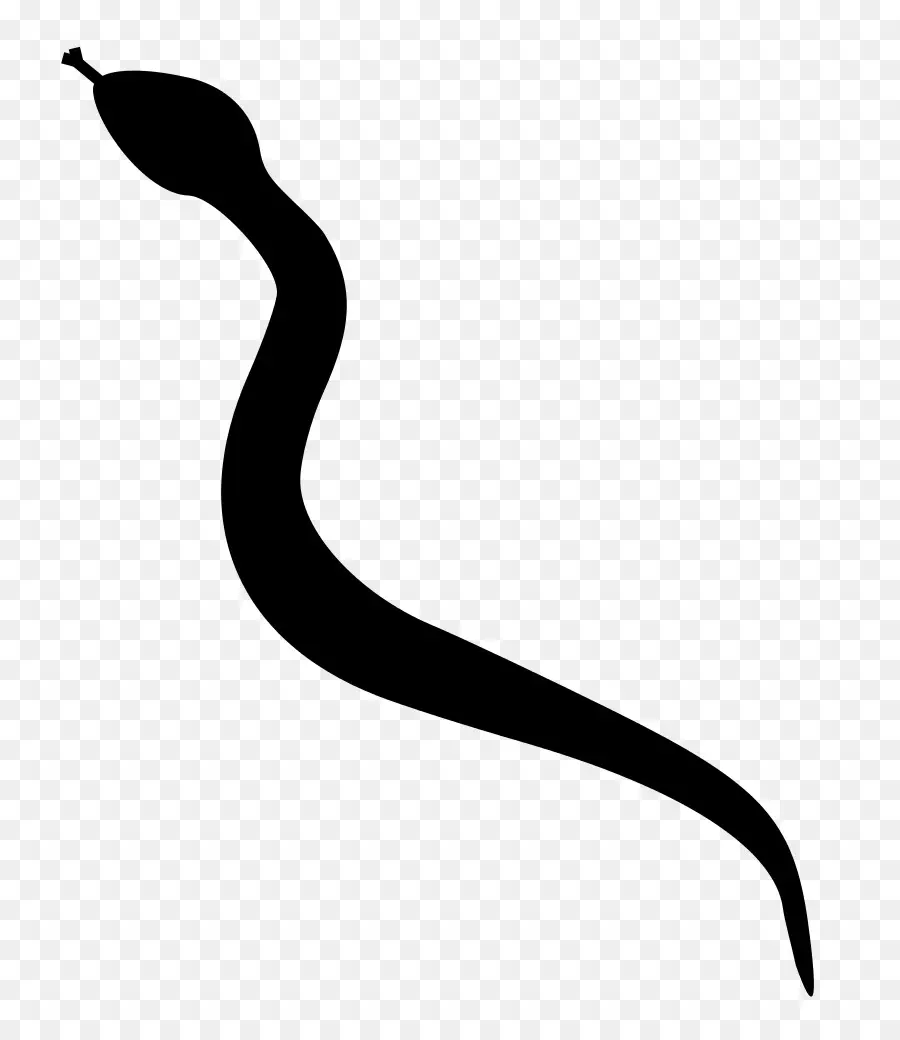 Serpent，Silhouette PNG