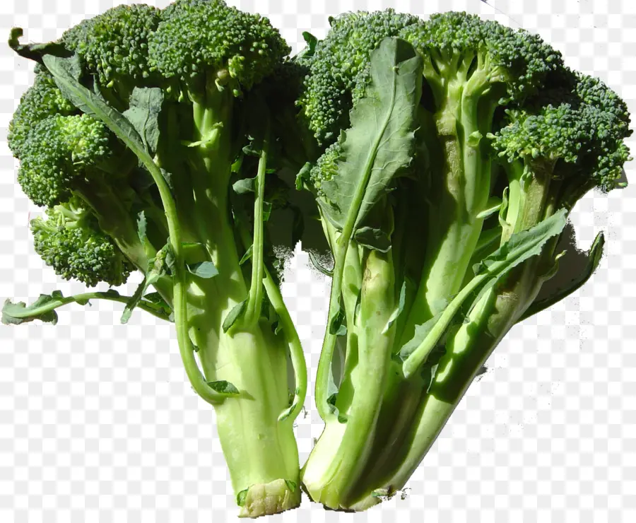 Brocoli，Nourriture PNG