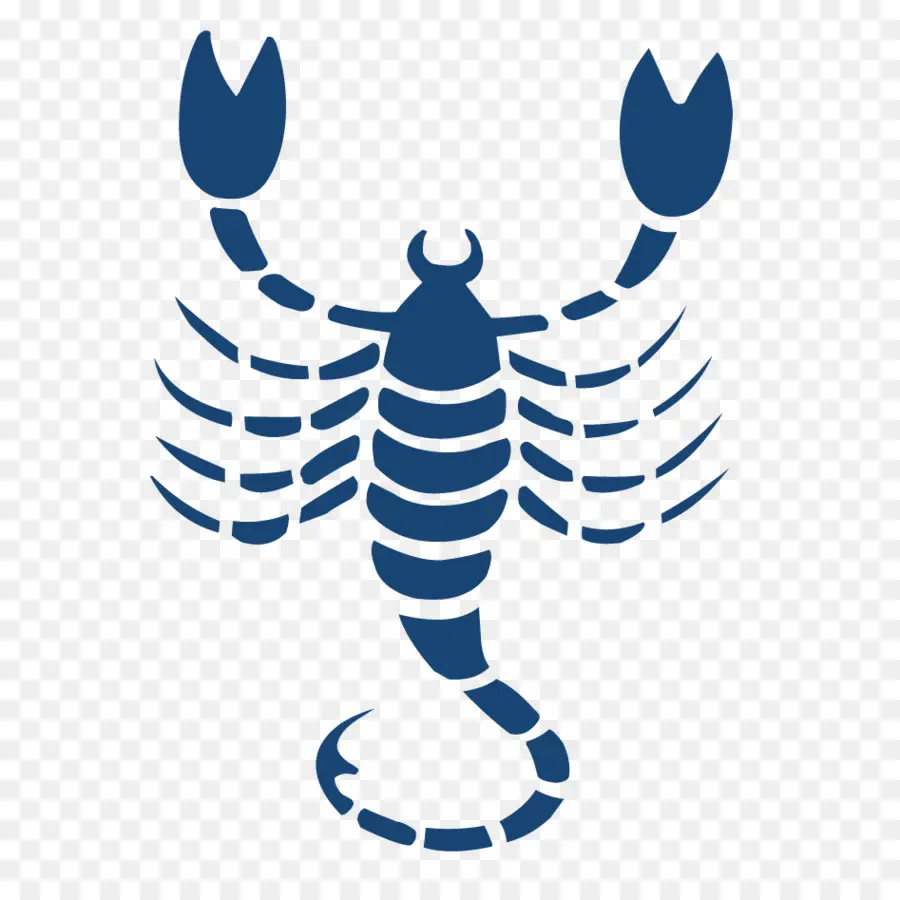 Scorpion，Insecte PNG