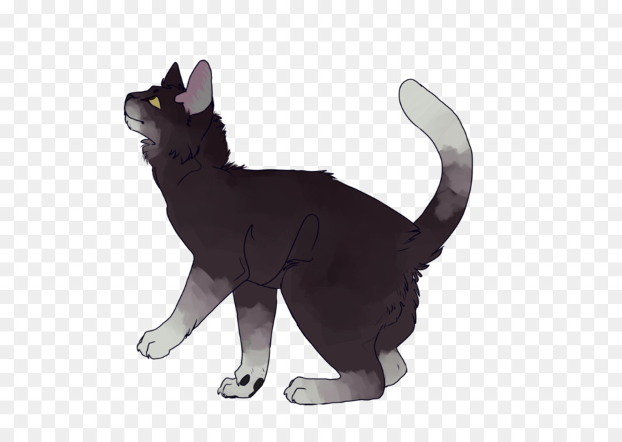 Chat，Animal De Compagnie PNG