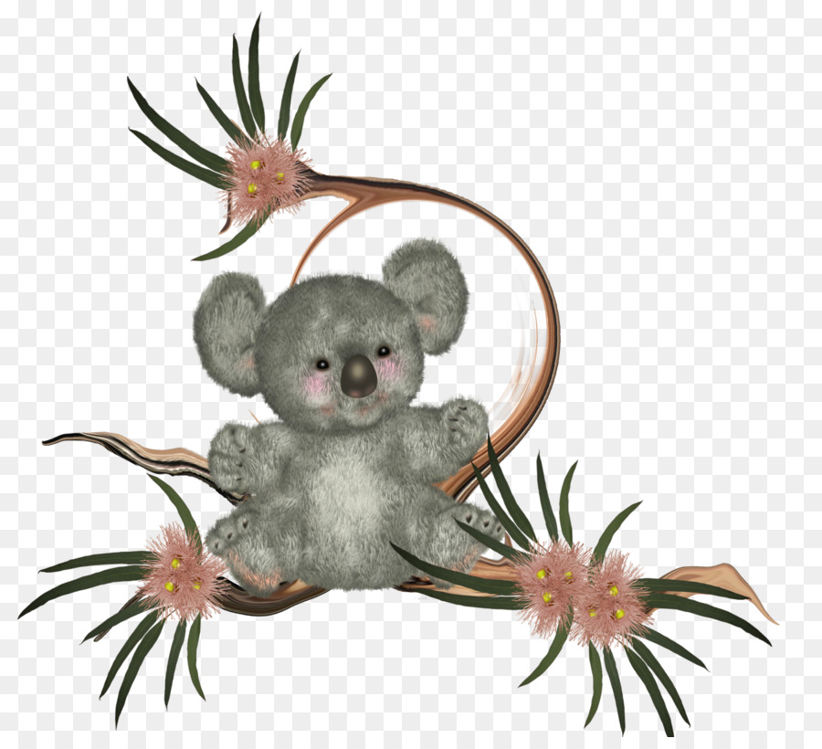 Koala，Vertébrés PNG
