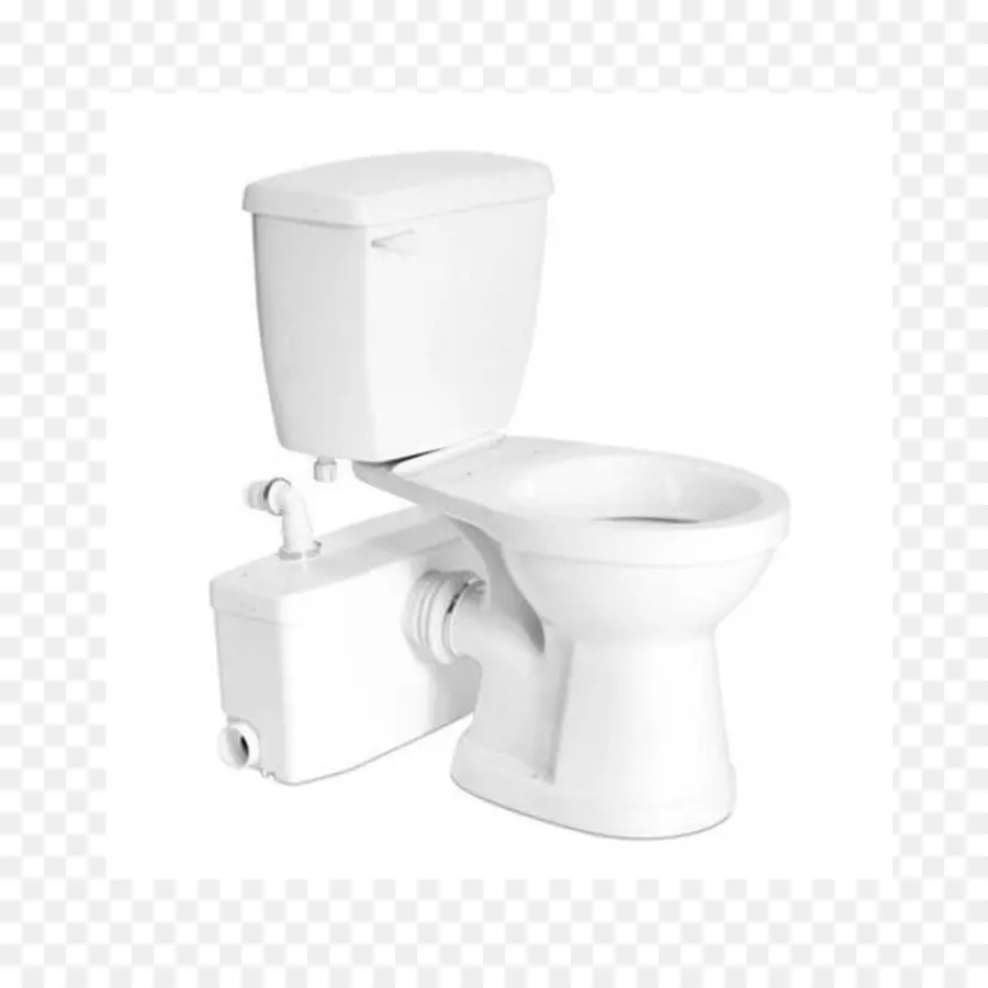 Toilettes，Macération PNG