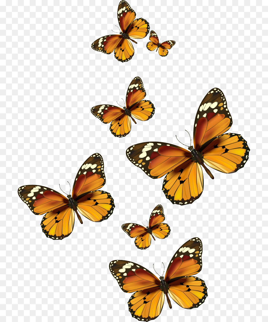 Papillons Jaunes，Ailes PNG