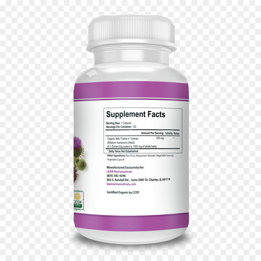 Complément Alimentaire，Garcinia Gummigutta PNG