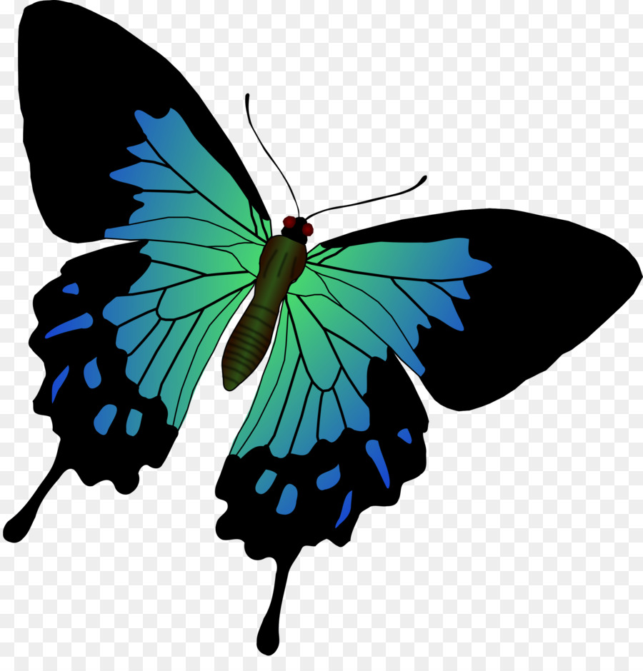 Papillon Bleu，Insecte PNG