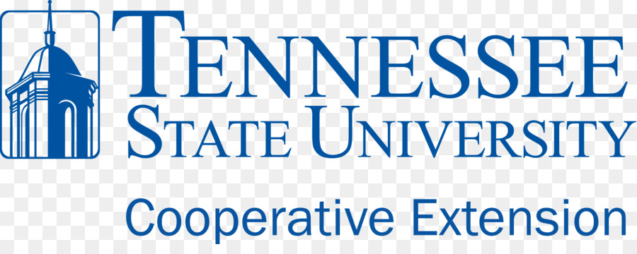 Université D'État Du Tennessee，Université D'État De L'est Du Tennessee PNG