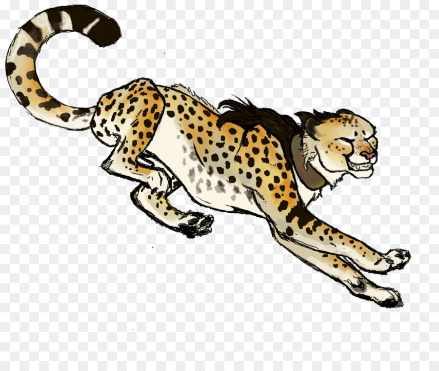 Guépard，Taches PNG