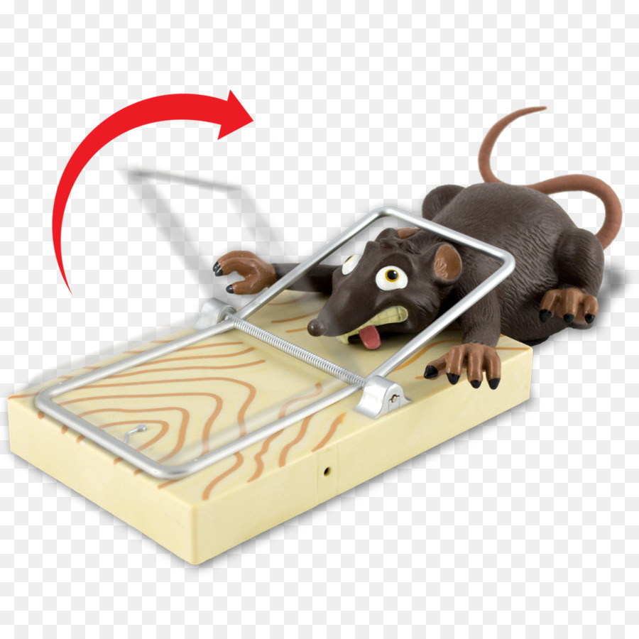 Rat，Souris PNG