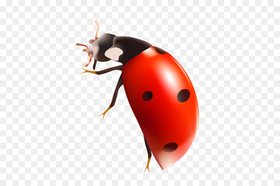 Coccinelle，Bogue PNG