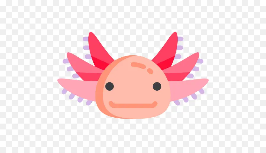 Axolotl，Ordinateur Icônes PNG