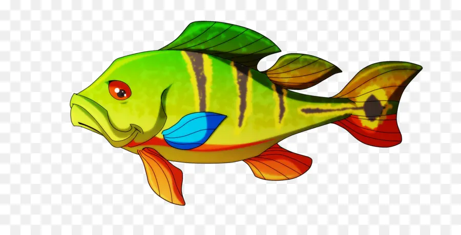 Poisson Coloré，Aquatique PNG