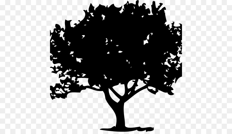 Silhouette D'arbre，Usine PNG