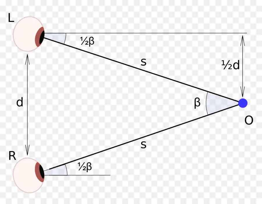 Diagramme Des Yeux，Vision PNG