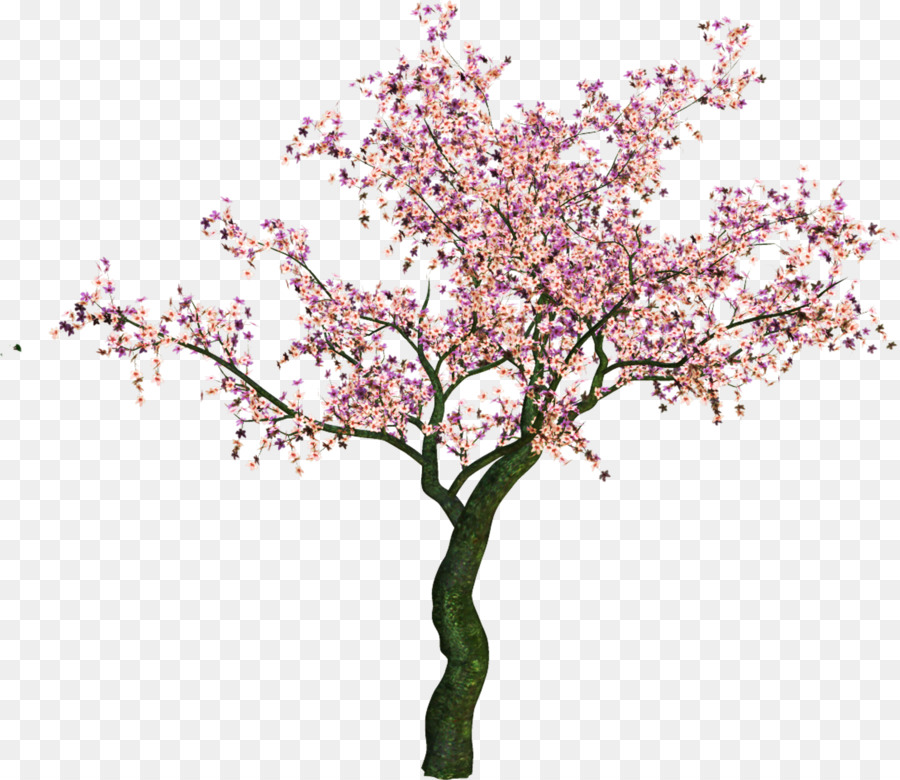 Arbre，Graphiques Raster PNG