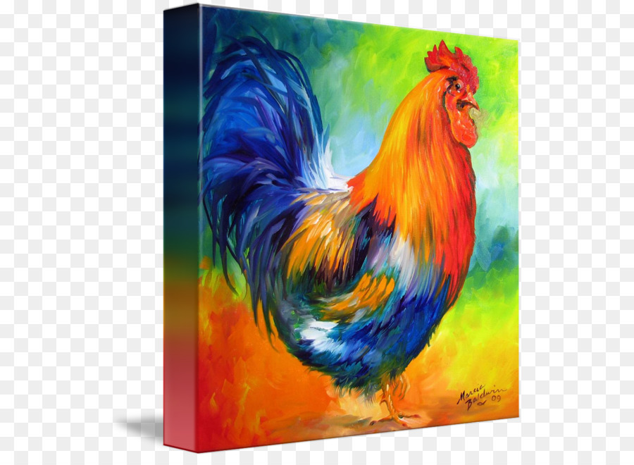 Coq Coloré，Multicolore PNG