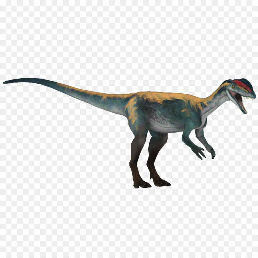 Vélociraptor，Dinosaure PNG