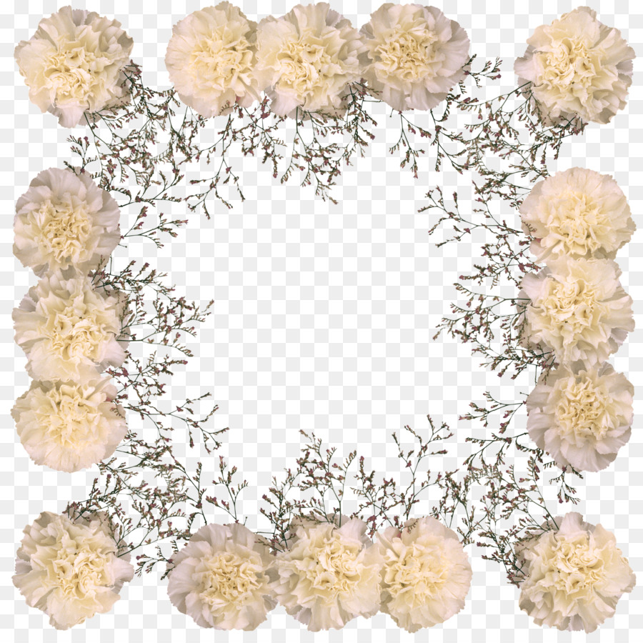 Cadre De Fleurs，Oeillets PNG