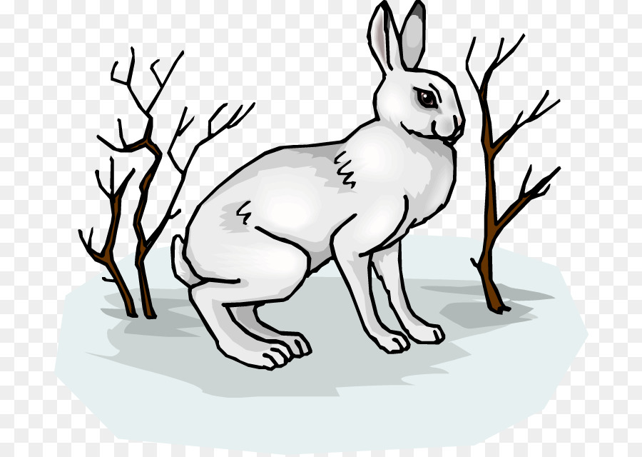 Lapin，Un Lapin Domestique PNG