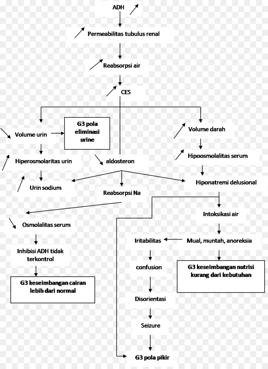 Dessin，Diagramme PNG