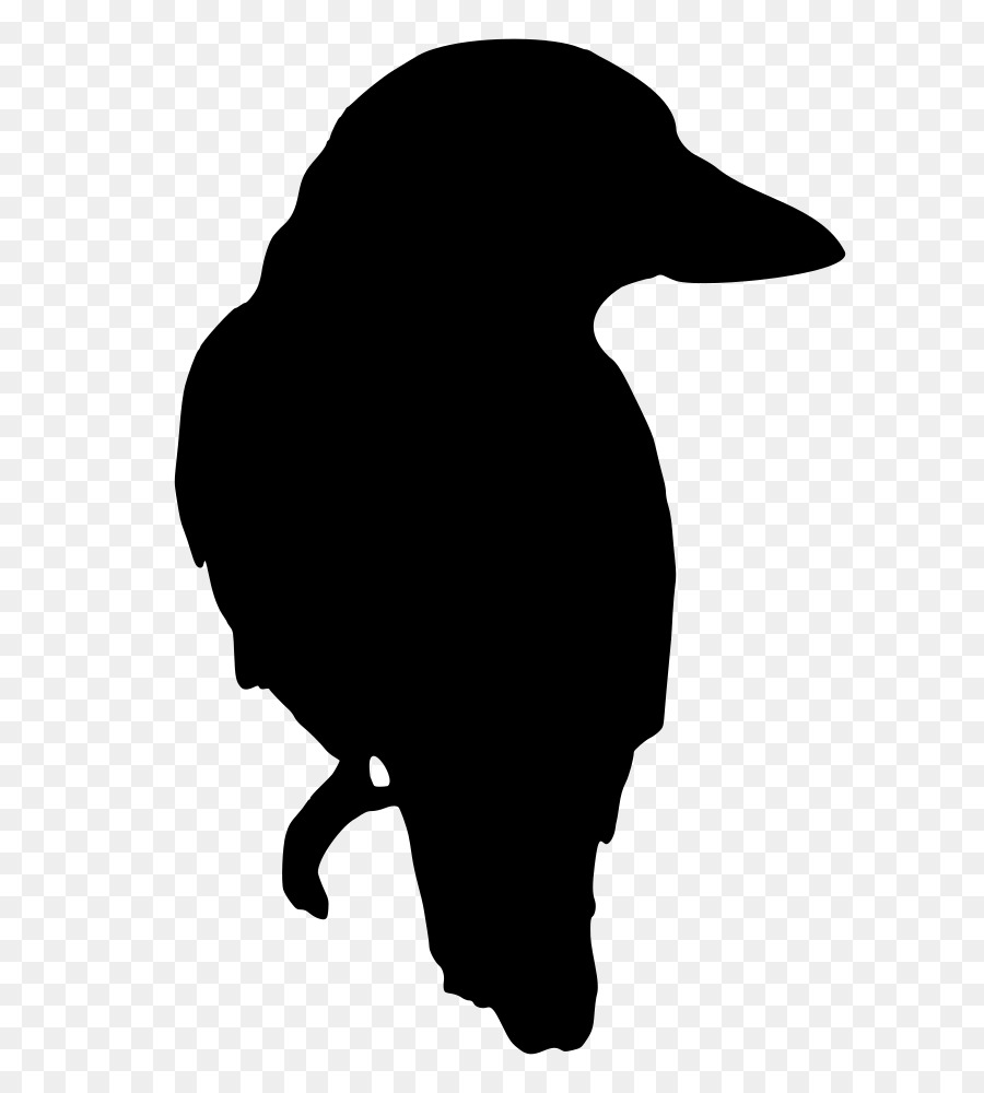 Silhouette D'oiseau，Noir PNG