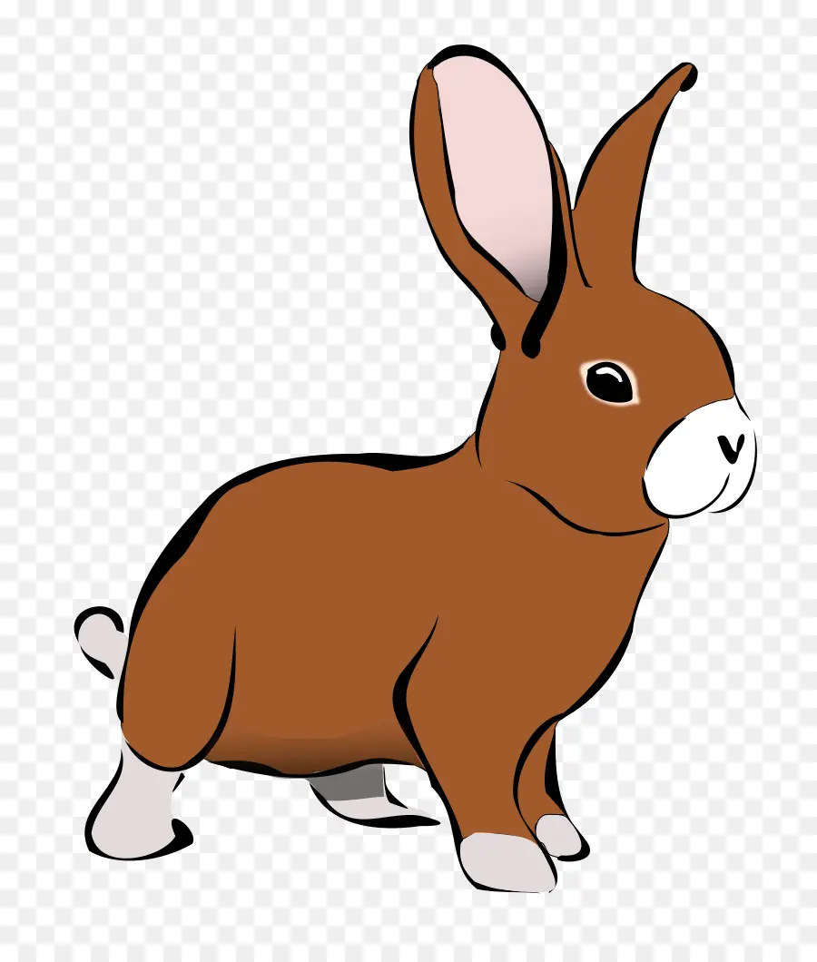 Lapin，Lièvre PNG