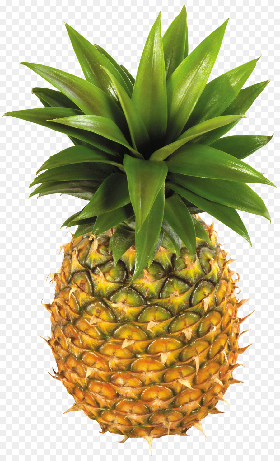 Ananas Bleu，Fruit PNG