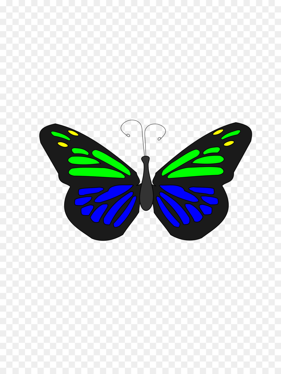 Papillon Bleu，Ailes PNG