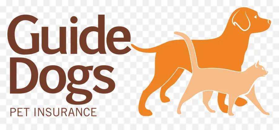 Chiens Guides，Assurance Pour Animaux De Compagnie PNG