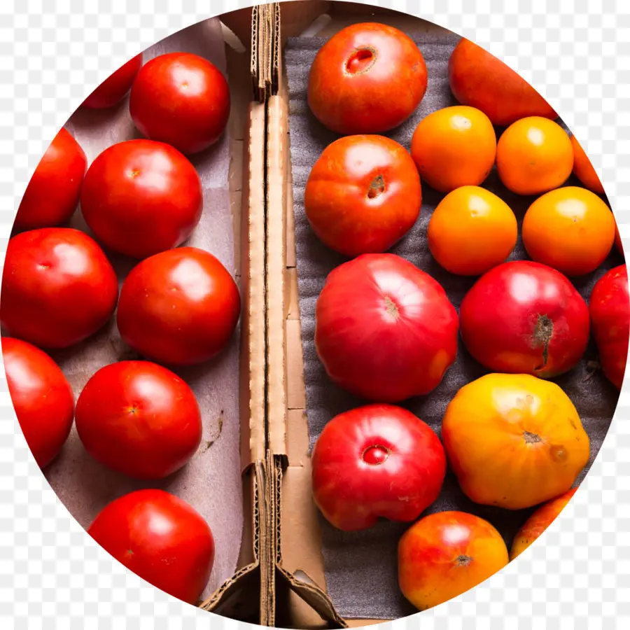 Tomate，Réfrigérateur PNG