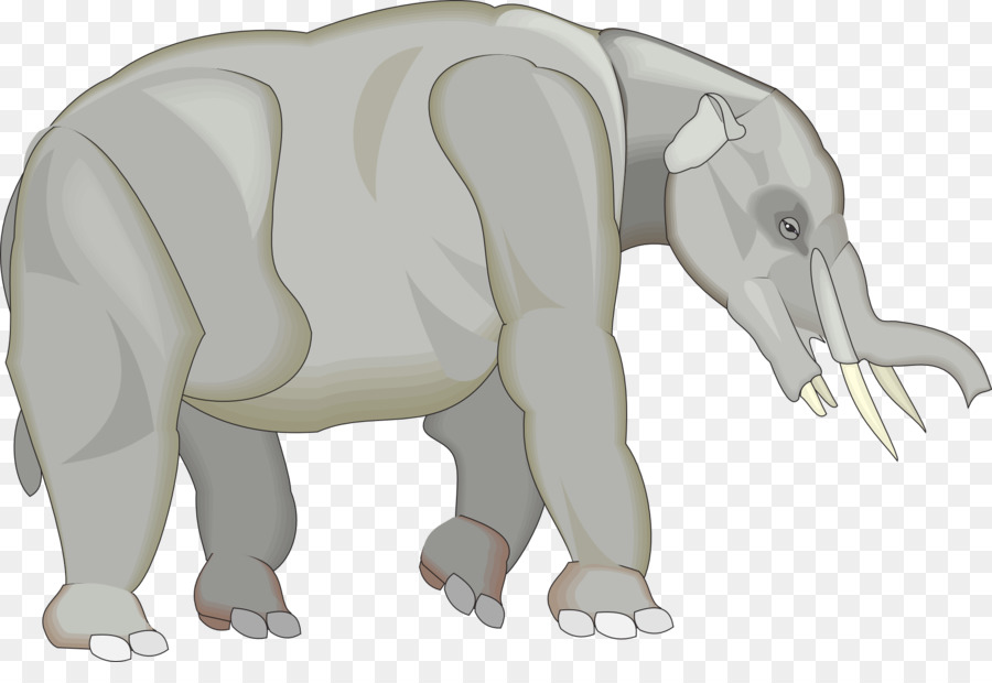 Éléphant，Mammifère PNG