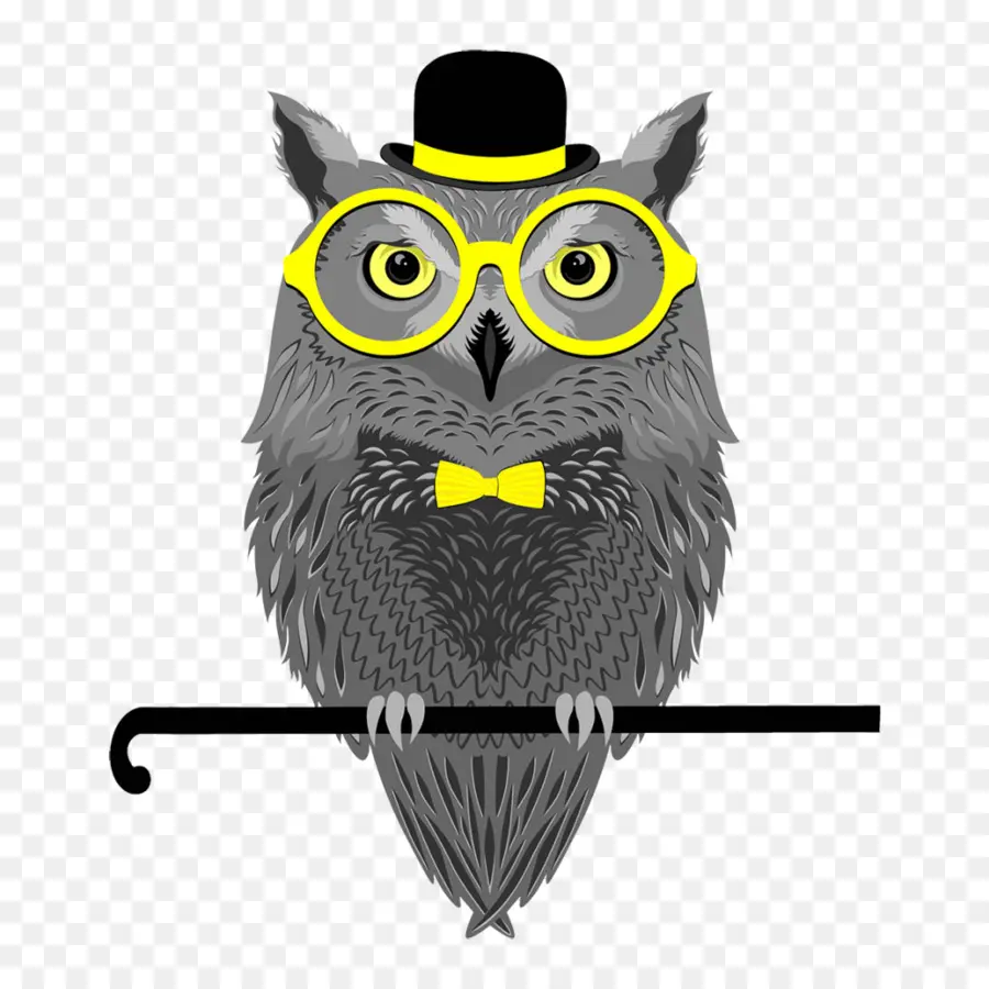 Hibou，Lunettes PNG