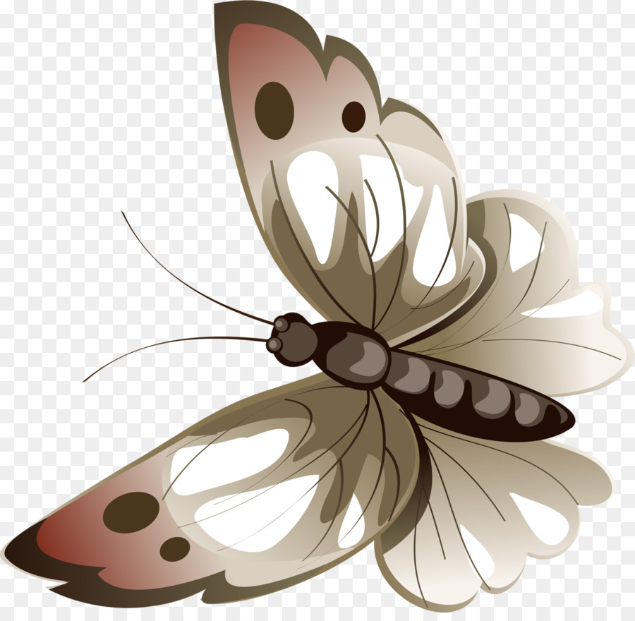 Papillon，Luna Moth PNG